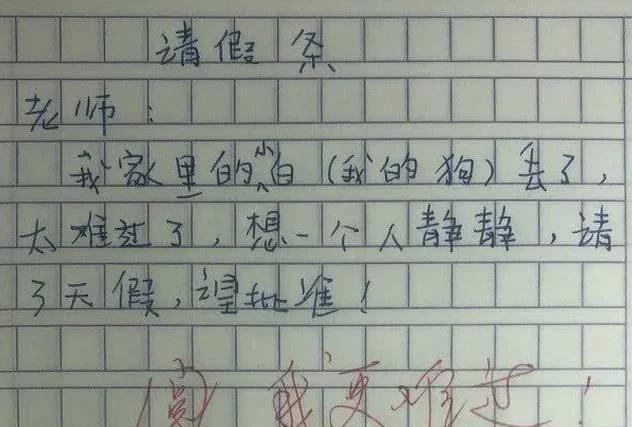 女教师产假最新规定详解✨📚