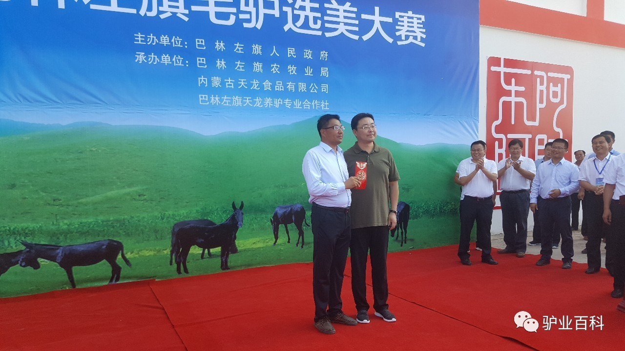 巴林左旗教育局最新动态，高科技产品介绍与发文概述