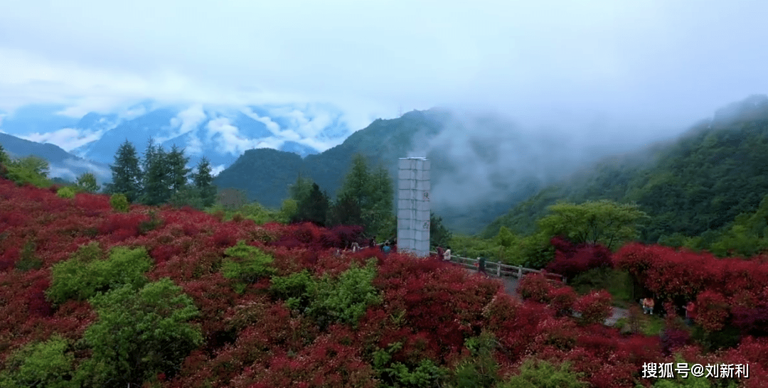 柘荣最新人事任免,柘荣最新人事任免，一场自然美景的探索之旅，启程吧！