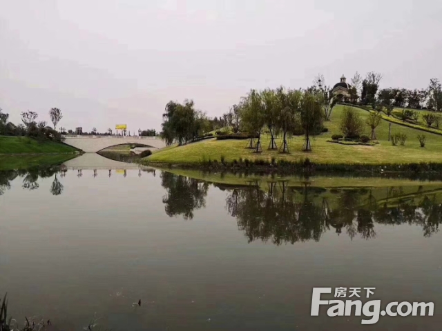 新郑龙熙湖畔，自然美景探索之旅的最新动态