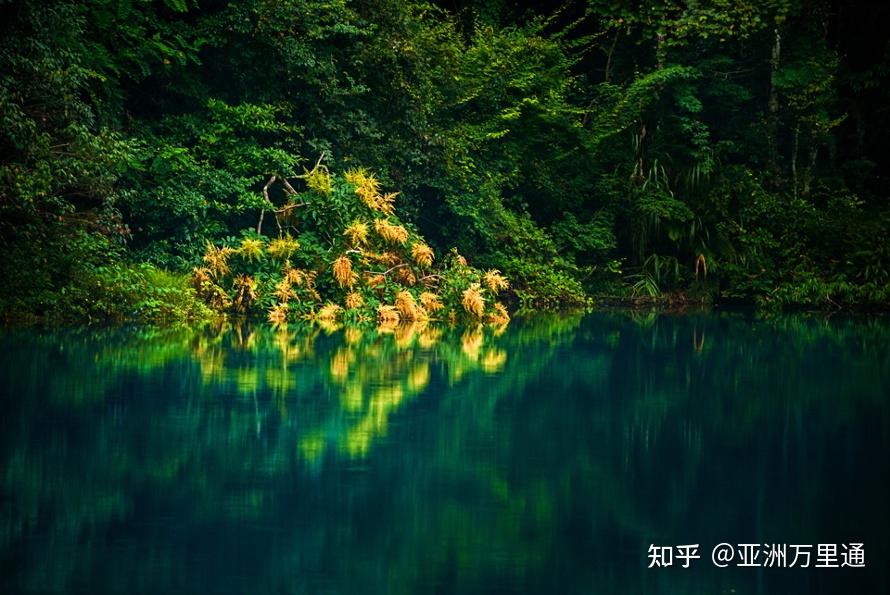 荣耀畅玩6x最新动态，探索自然美景之旅，追寻内心宁静与平和