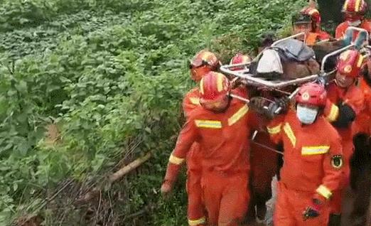 关于山体滑坡的最新动态及观点论述