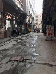 河北疫情最新动态及小巷独特风味探秘
