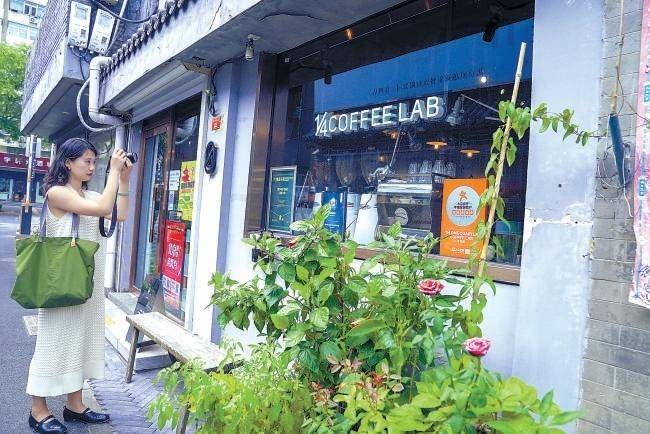 最新台风资讯与小巷深处的特色小店探秘