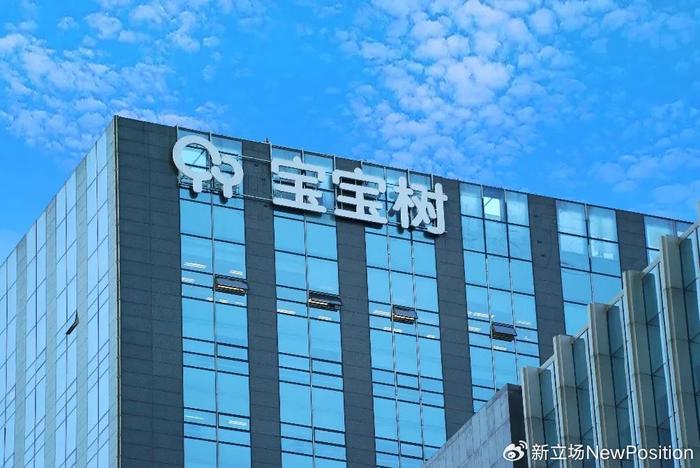 宝宝树最新动态揭秘，深度探讨与观点分析