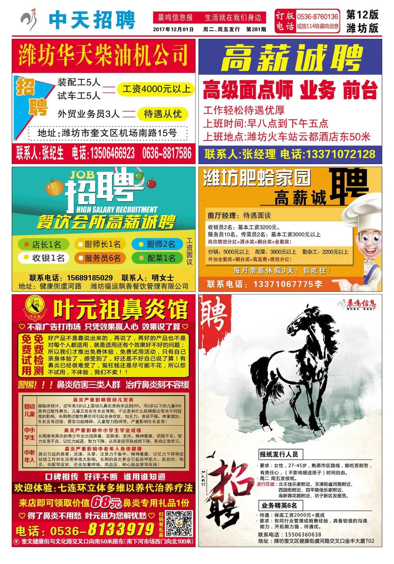 周村最新招聘信息揭秘，小巷中的职业宝藏