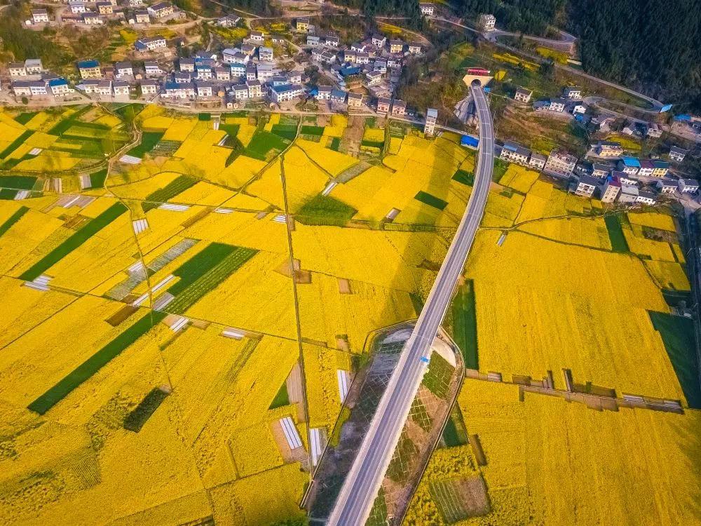兰渝铁路最新动态，全面指南与步骤详解