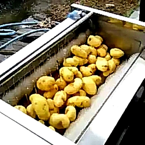 最新土豆机，心灵与自然的完美交融