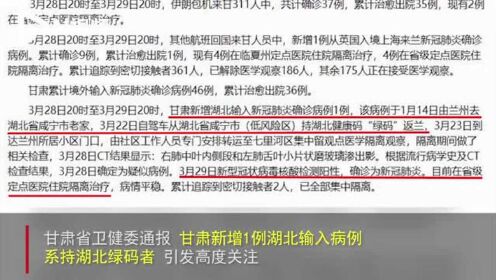 甘肃最新病例更新及小巷深处的独特风味探秘