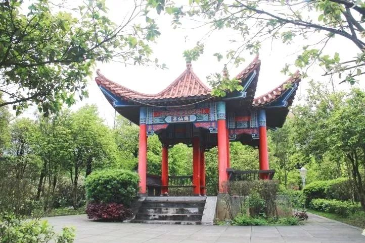 中石油最新动态，心灵与自然的完美交融之旅