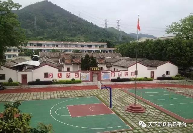 普宁论坛热议，车祸之外的自然美景之旅，探寻内心平和宁静之道
