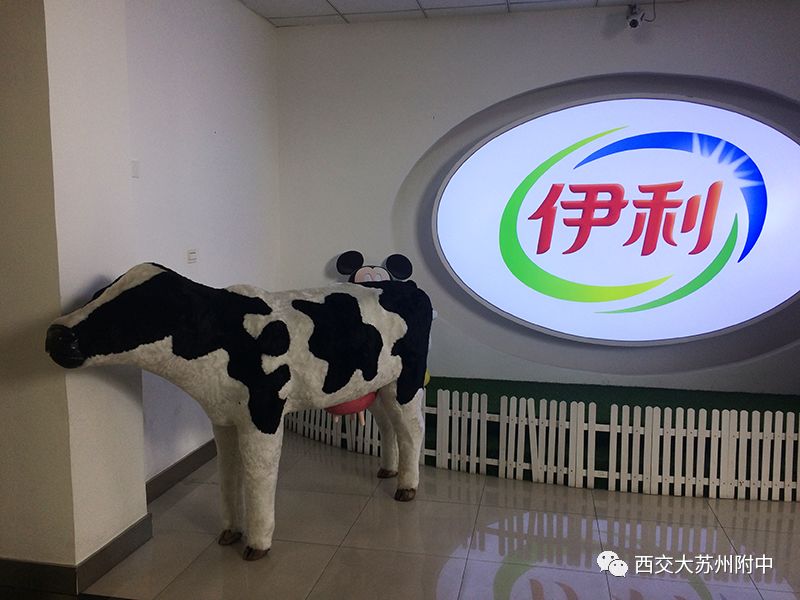 平阴伊利最新招聘探秘，小巷中的独特风味人才招募启事