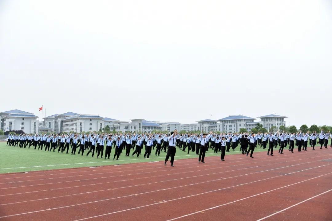 最新舞曲排行榜，点燃你的音乐激情！