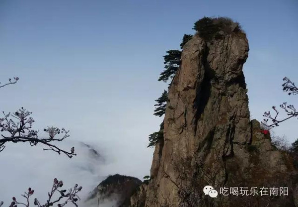 台凤最新动态，自然美景探索之旅，心灵平静之旅开启