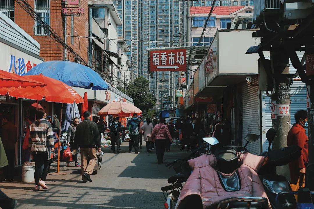 探索特色小店独特魅力，最新经济书籍的隐藏宝藏