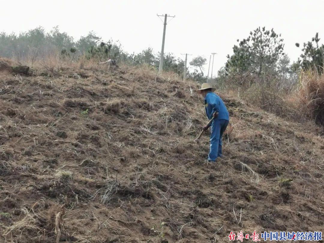 湖北麻城最新新闻，多维度视角下的城市发展探析