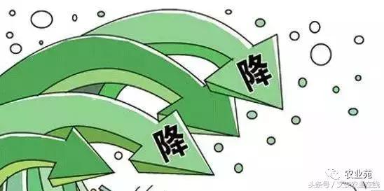 美丰尿素最新报价揭秘，小巷深处的宝藏探索