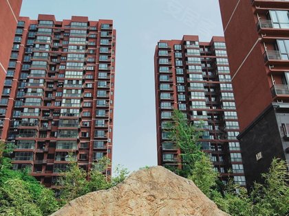 文苑华庭最新动态与学习变化，自信成就未来之路