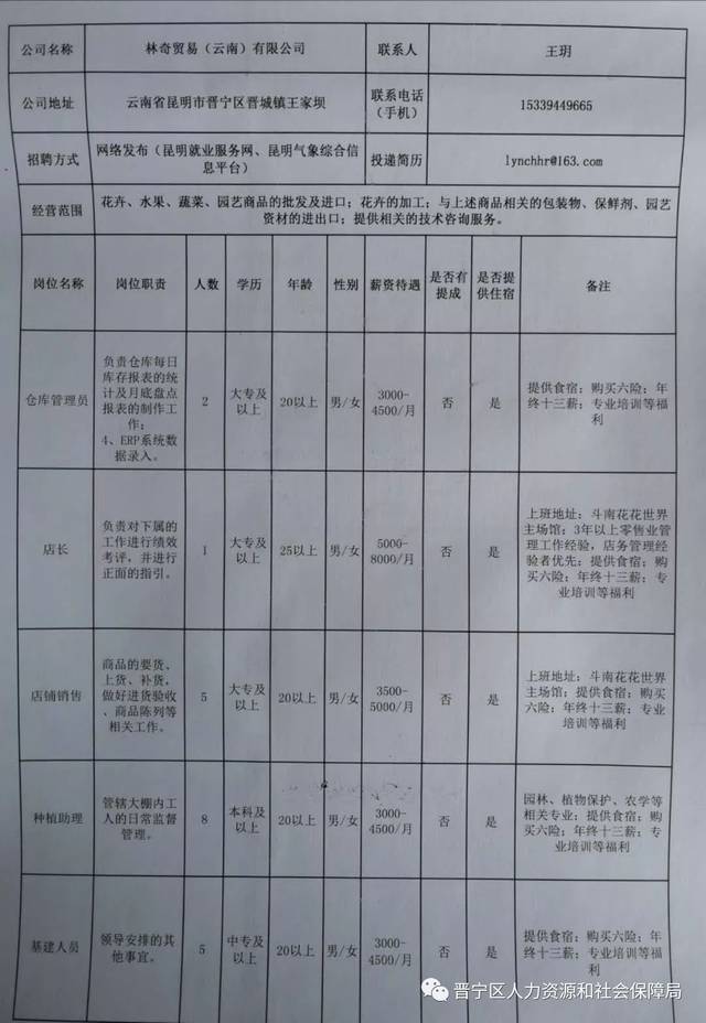 开远最新招聘今日更新，小巷深处的职业机遇