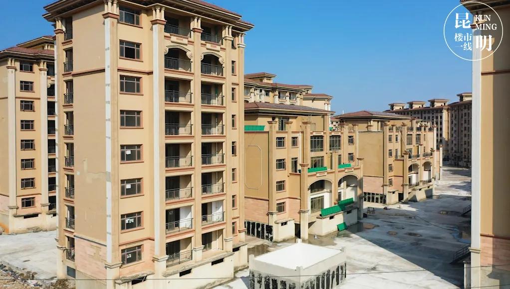 仁泽地产最新动态大全，全面指南与步骤详解