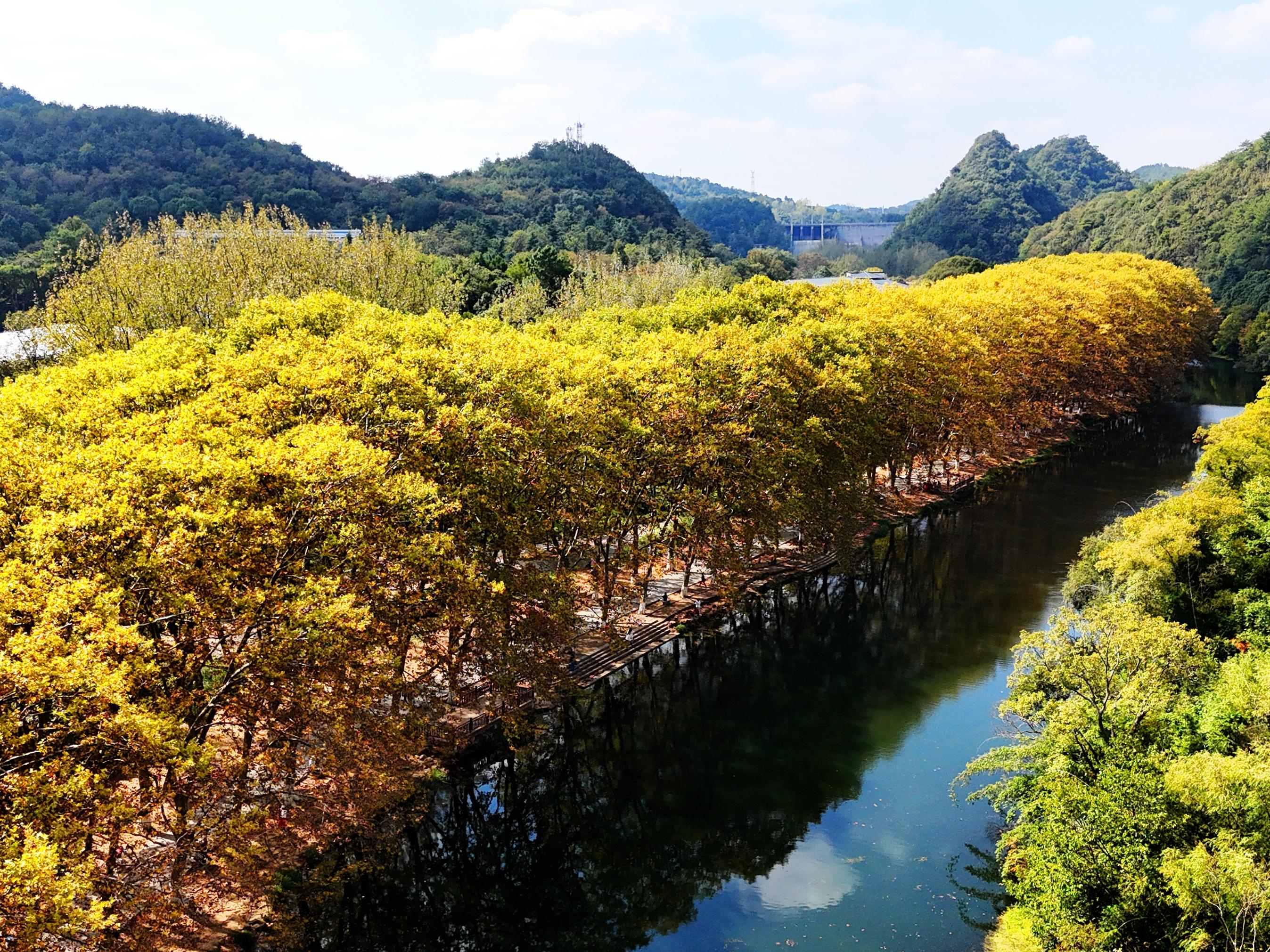 下周黄金走势最新分析，与自然美景的旅行对话展望