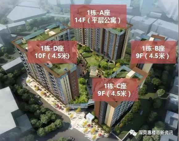 乐至楼盘最新房价揭秘，小巷深处的惊喜发现