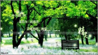最新伤感个性签名精选，与自然共舞，寻找内心的桃花源 2017