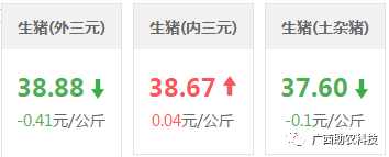 广西最新猪价查询指南，最新行情一网打尽