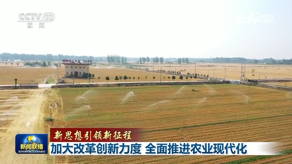 农业最新项目，引领农业现代化新征程的先锋力量