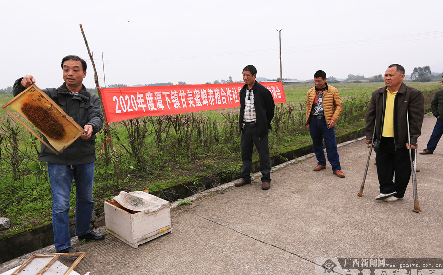 观点论述速递